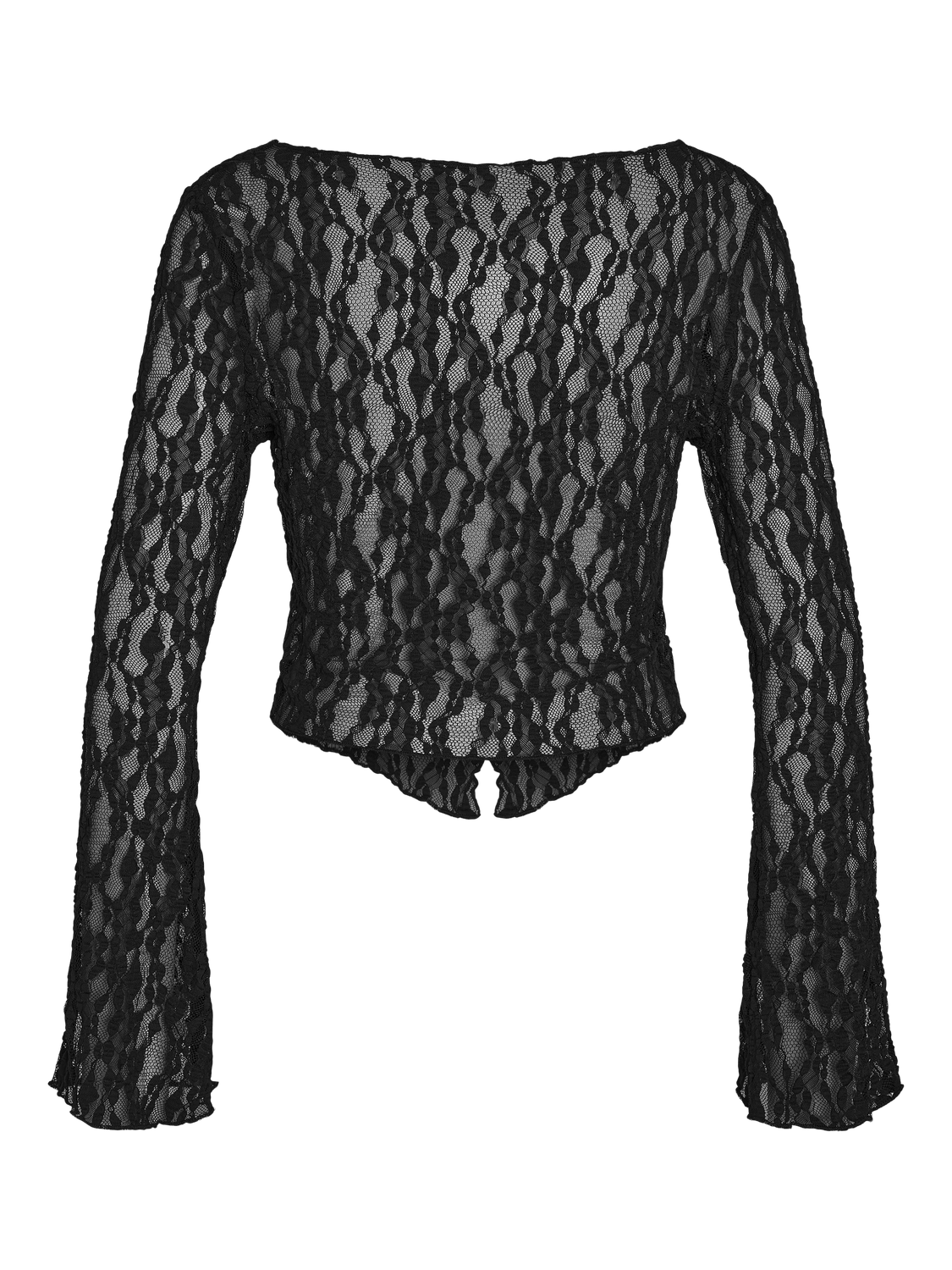 pack_shot-back