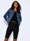 model_shot-detail